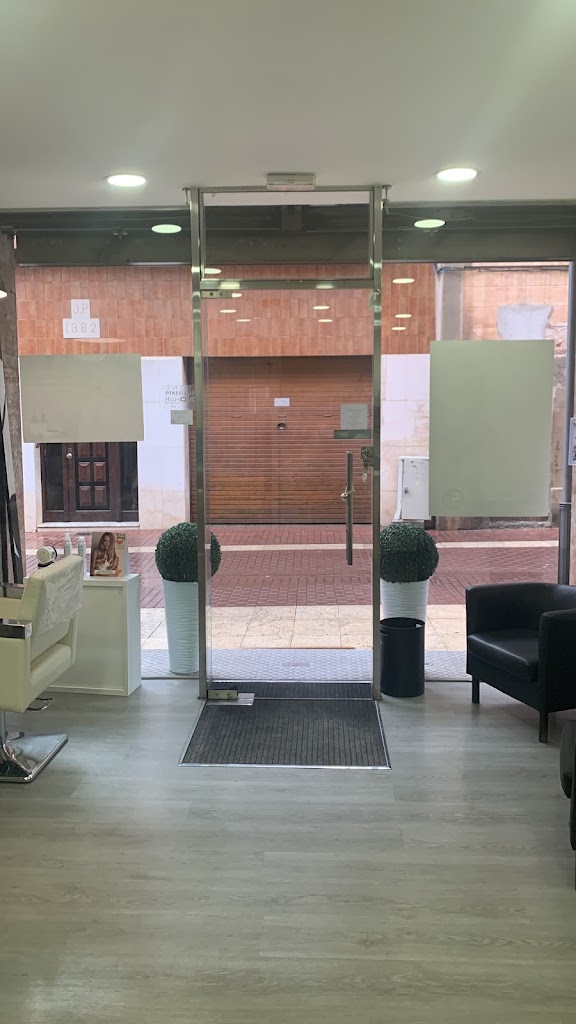 Peluqueria | El salon 38 hair | Estetica — Interior