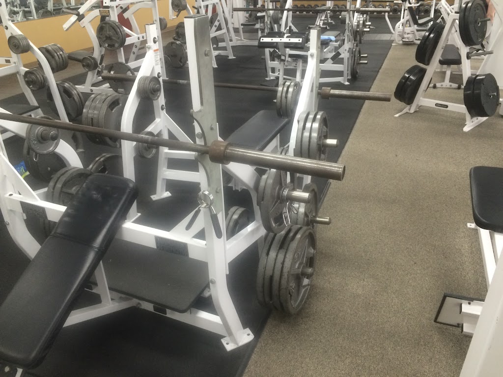  Members Fitness Club