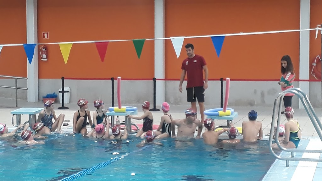 Pavello Guillem Timoner