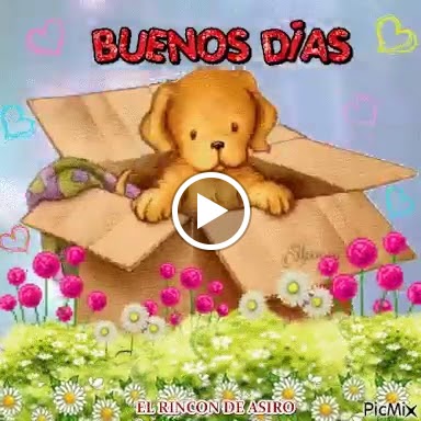 Cafeteria Cerveceria Entrepans — Videos