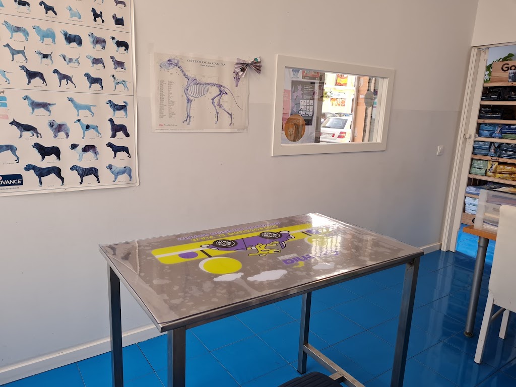 Centro Veterinario Santa Ana — Del propietario