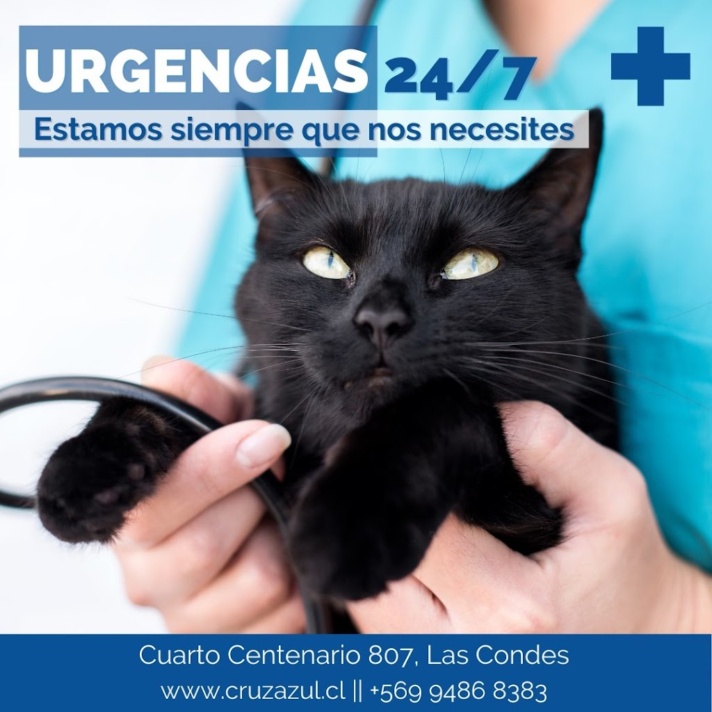 Gato