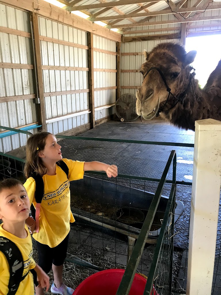  New World Karate & Fitness