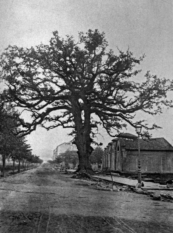 Placa Lugar del Emblematico Carbayon