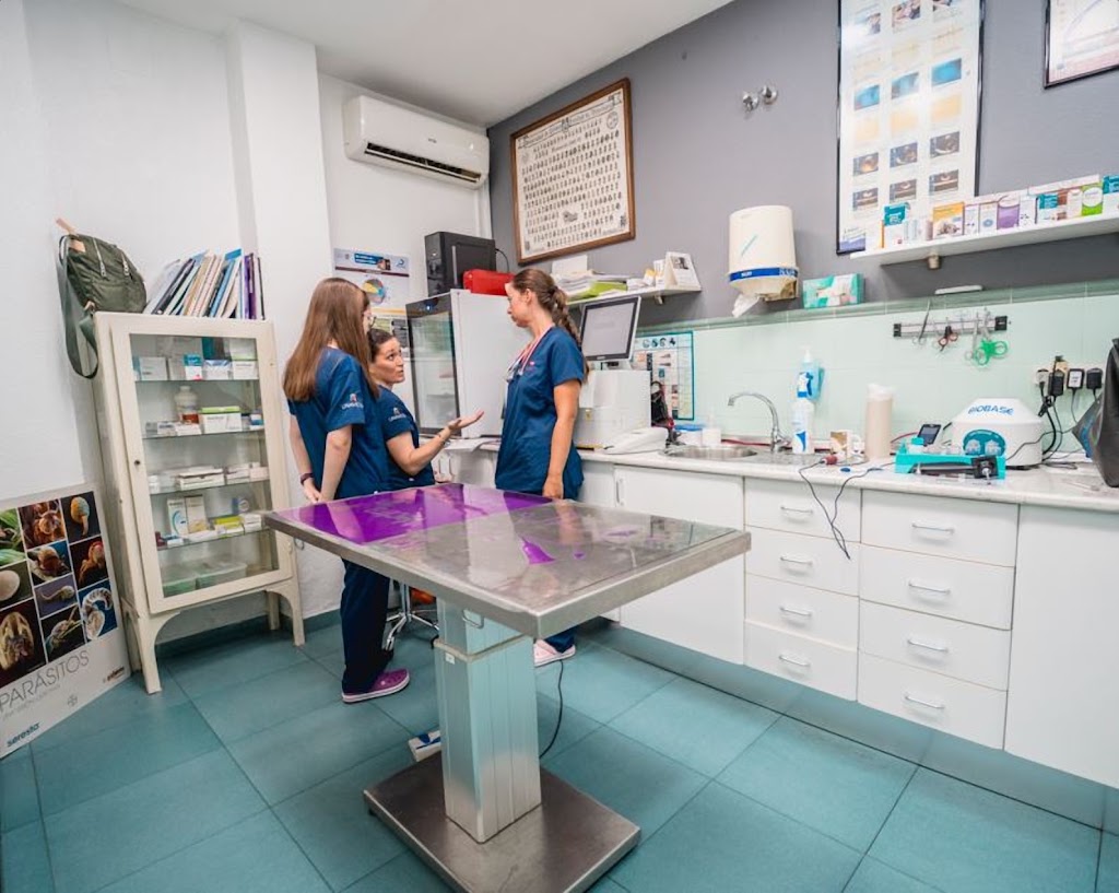 Clinica Veterinaria La Huella — Del propietario