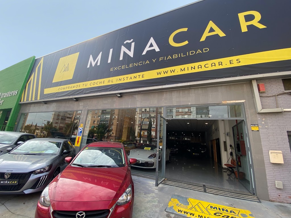 MinaCar