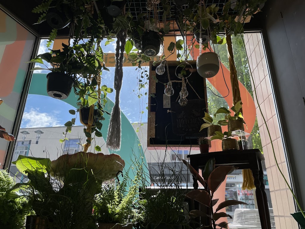 Once upon a plant