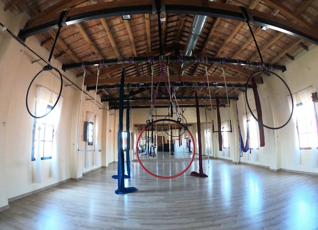 Vertical Vic - Escola de Circ, Poledance i Arts aeries.