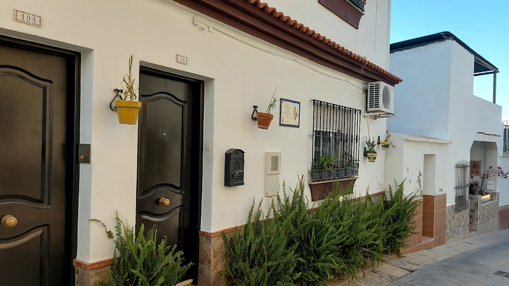 Gallo de Alhaurinejo