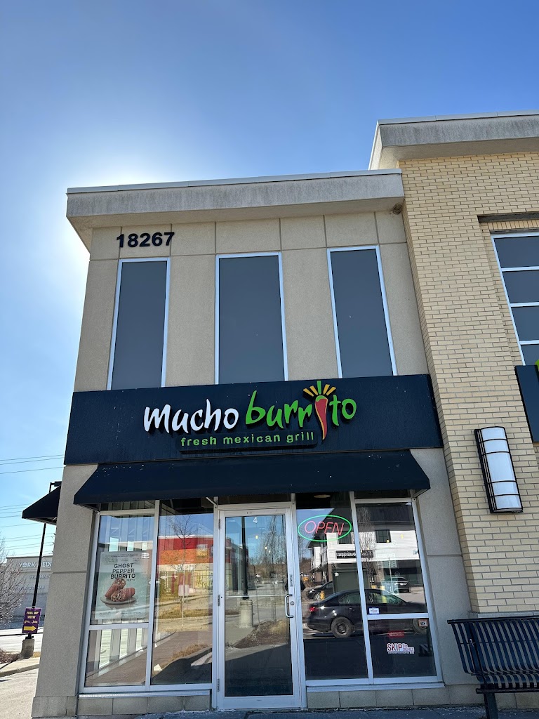 Mexican restaurant in East-Gwillimbury