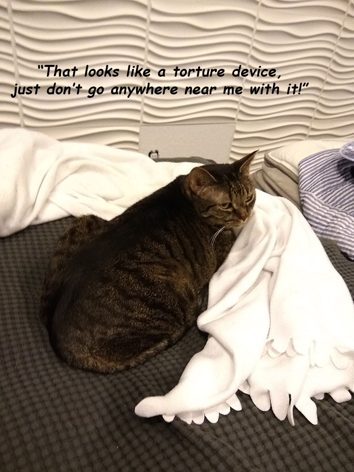  IN-HOME Fitness Trainer Cooper City | Pembroke Pines | Miramar | Weston | Davie | Hollywood