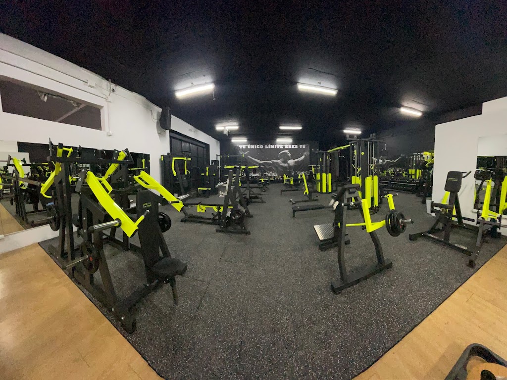 Gym Train Fit Xtreme