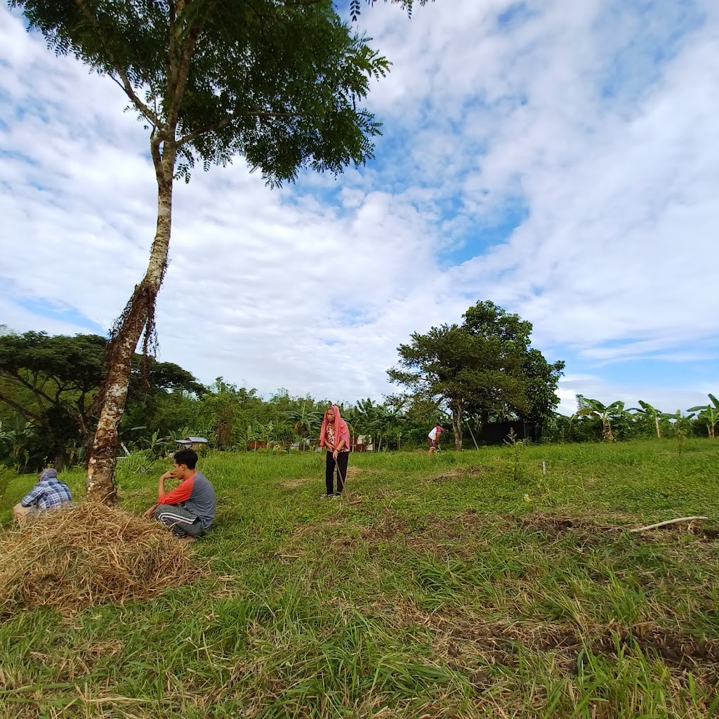 DL FARM AND CAMPSITE
