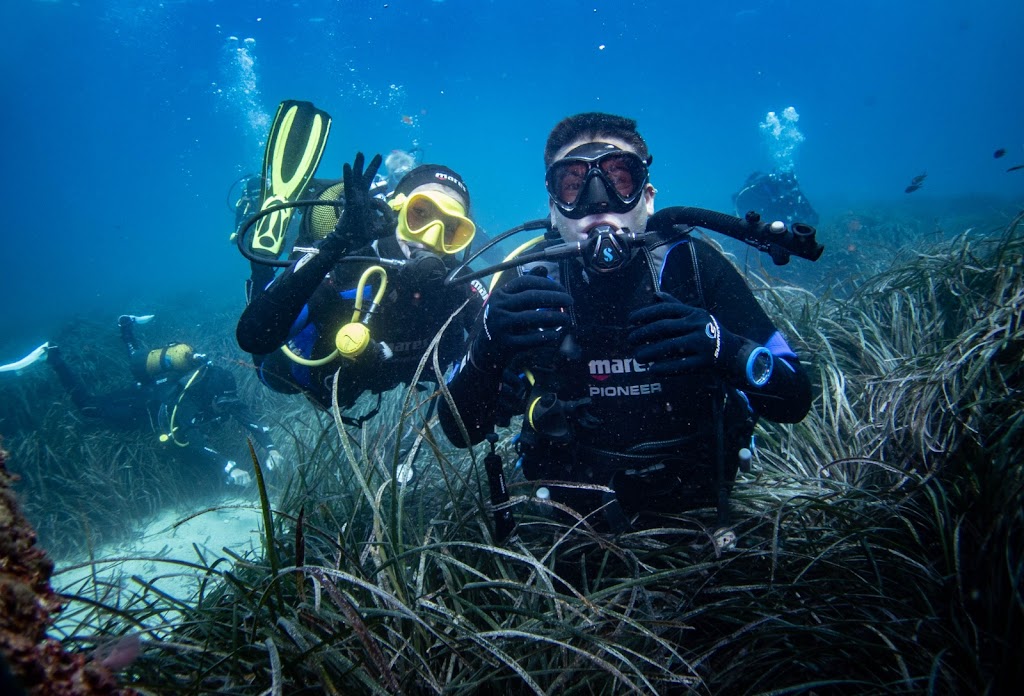 Dive Academy Santa Pola, bucear en Tabarca