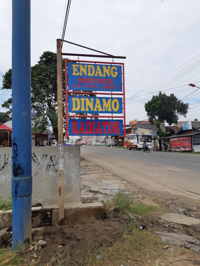 ENDANG Dinamo Bandarjaya