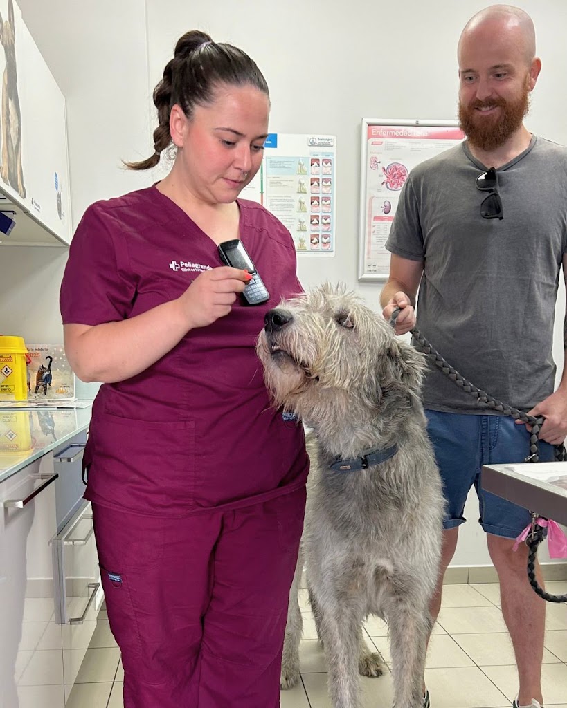 Hospital Veterinario La Moraleja (Grupo Penagrande) — Perro