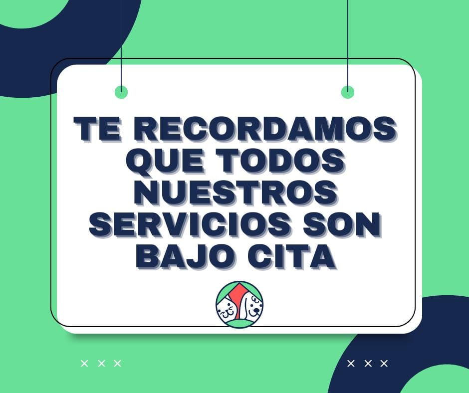 Spay Merida Consultorio Veterinario — Mas recientes