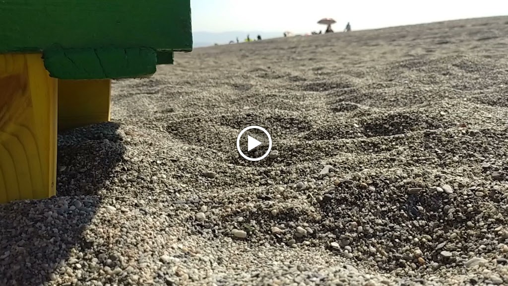 Cafeteria Malibu — Videos