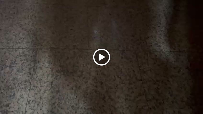Restaurante La Rosaleda — Videos