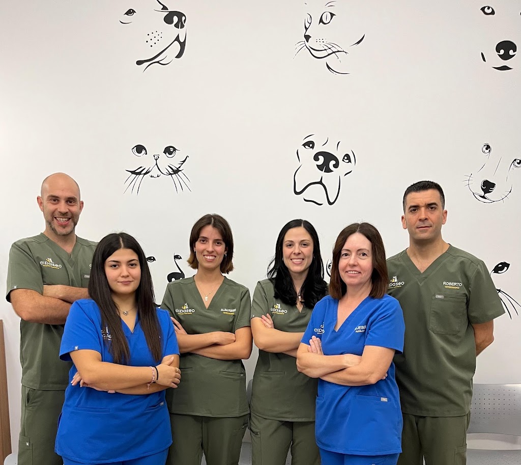 Clinica Veterinaria El Paseo en Villena