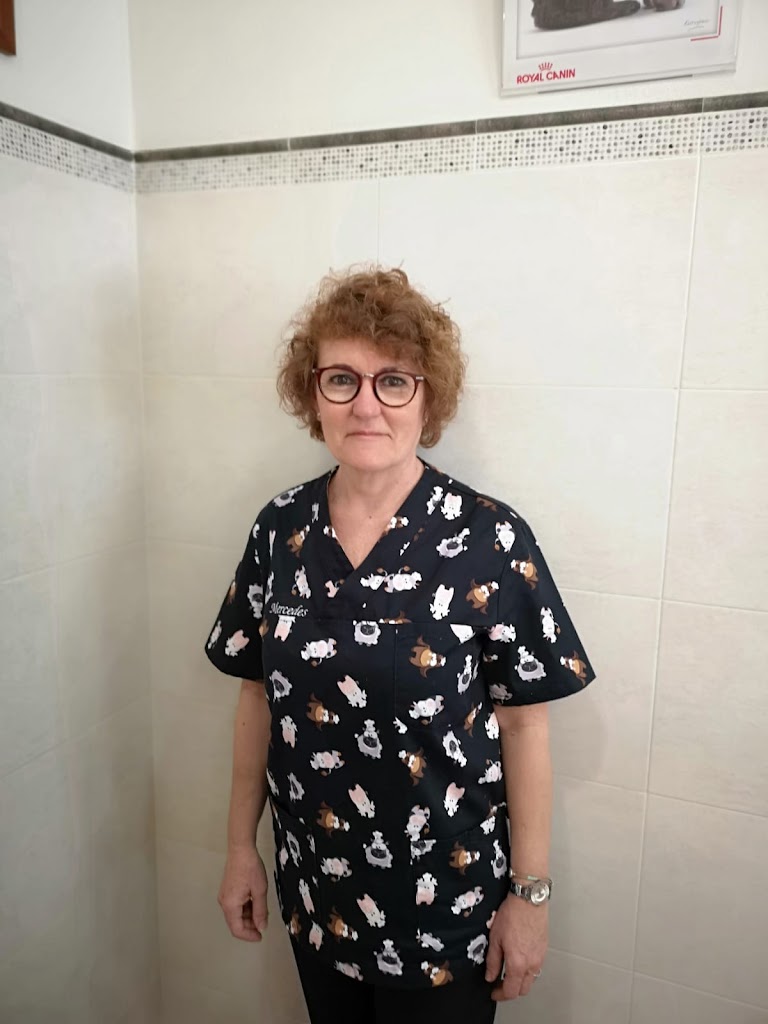 Clinica Veterinaria Torreblanca — Del propietario