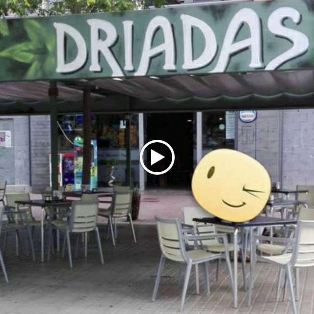Driadas Cafe Bar — Videos