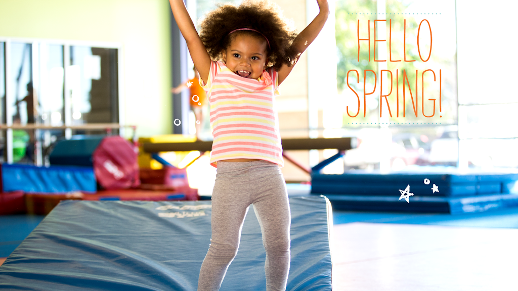  The Little Gym of Chicago