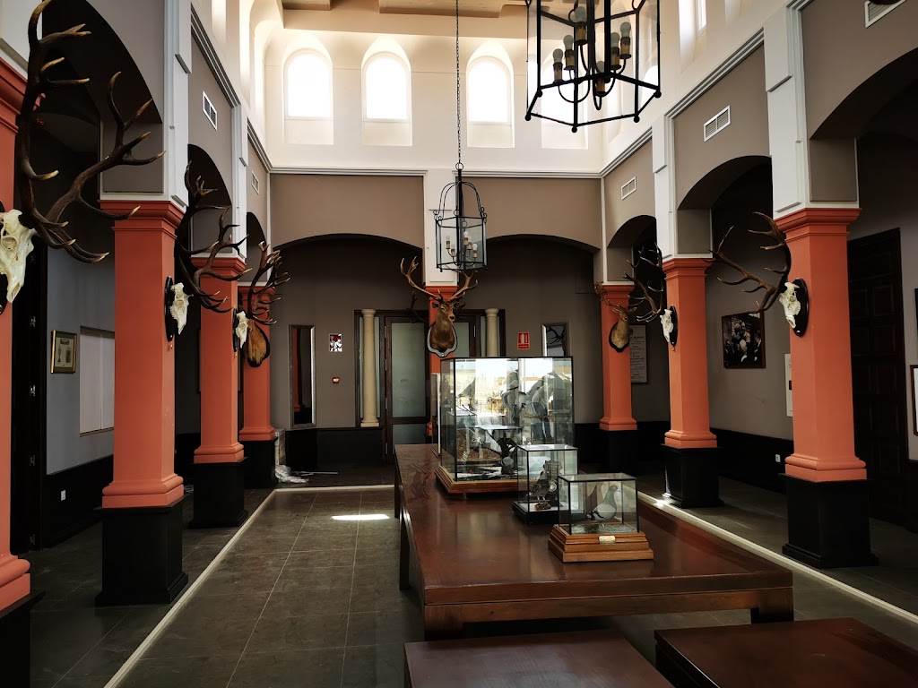 Real Sociedad de Tiro a Vuelo de Sevilla