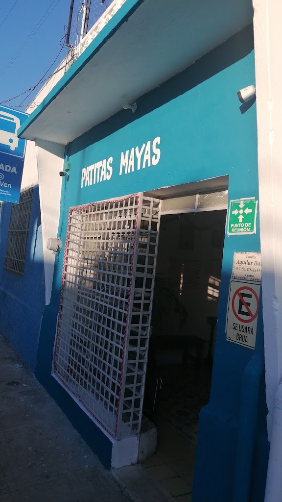 Clinica Veterinaria "Patitas Mayas" — Del propietario