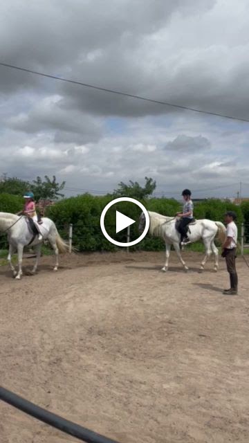 Centro Ecuestre Pataques — Caballo