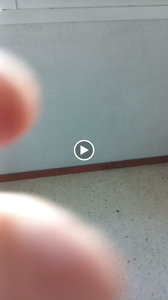 Aparcadoiro para persoas con discapacidade — Videos