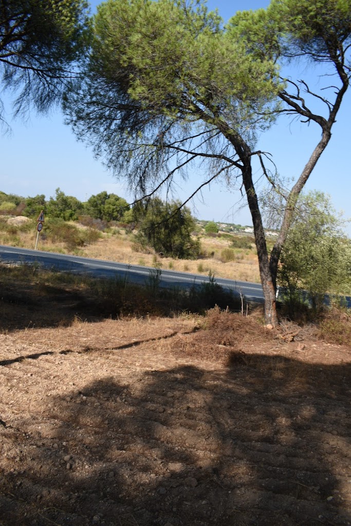 Circular Aljaraque - laguna del Portil