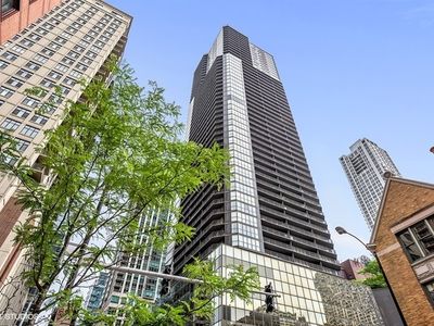 Placement Expert Usa