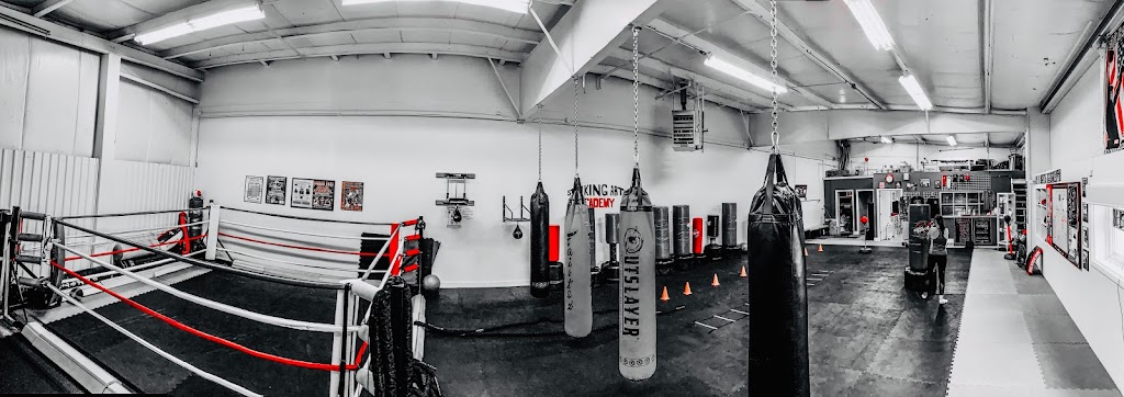  Striking Arts Academy