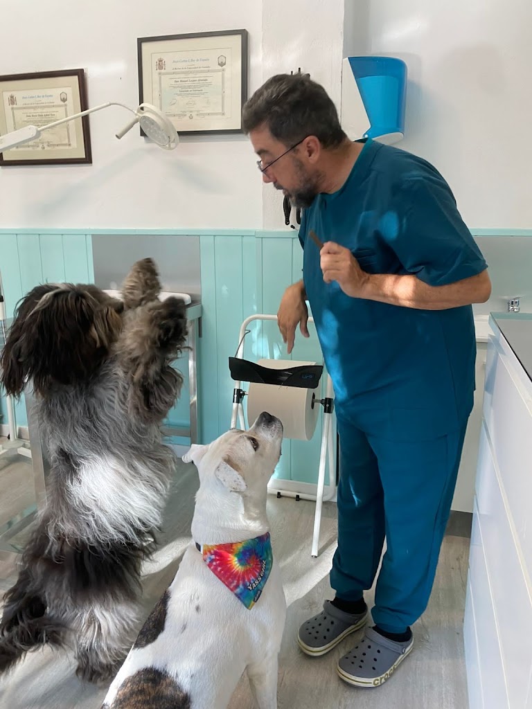 Centro Veterinario Fenix — Del propietario