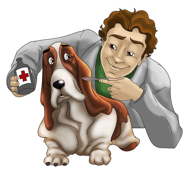 Sa Indioteria Clinica Veterinaria — Del propietario