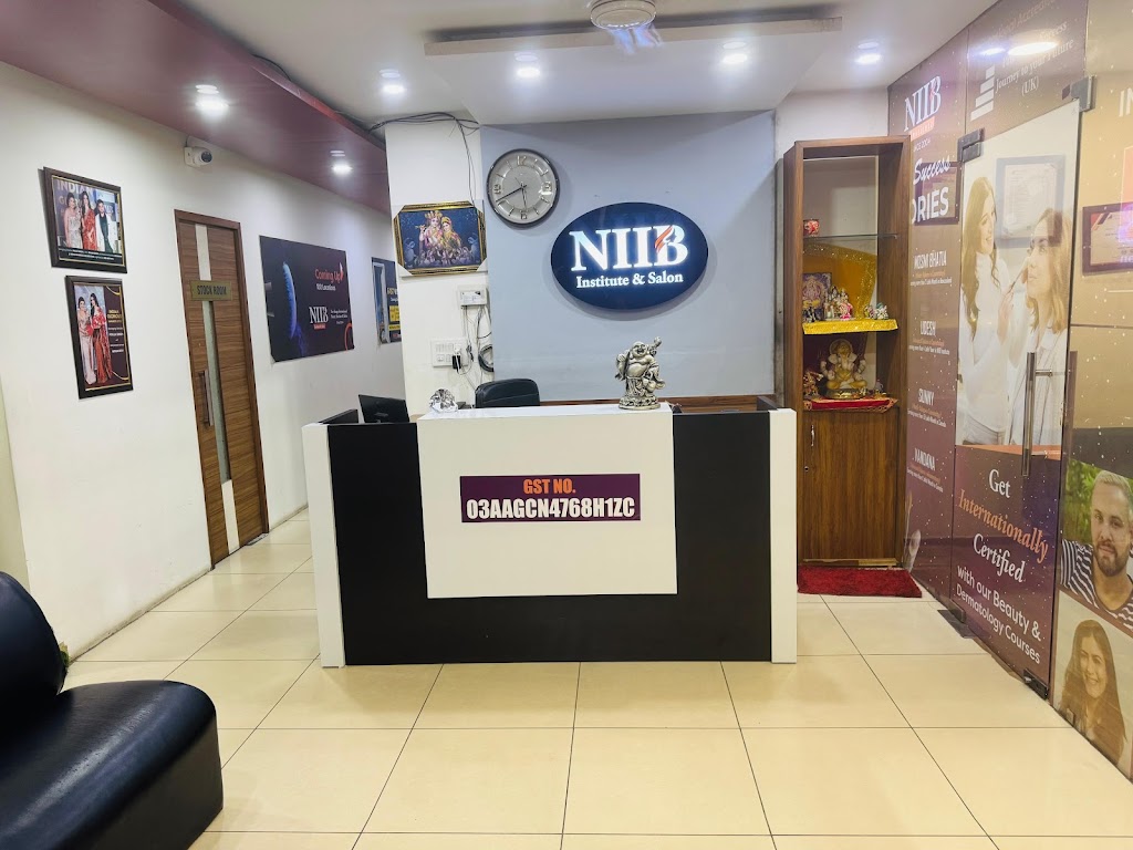 Niib Institute And Salon Phagwara Best Beauty Institute In Phagwara