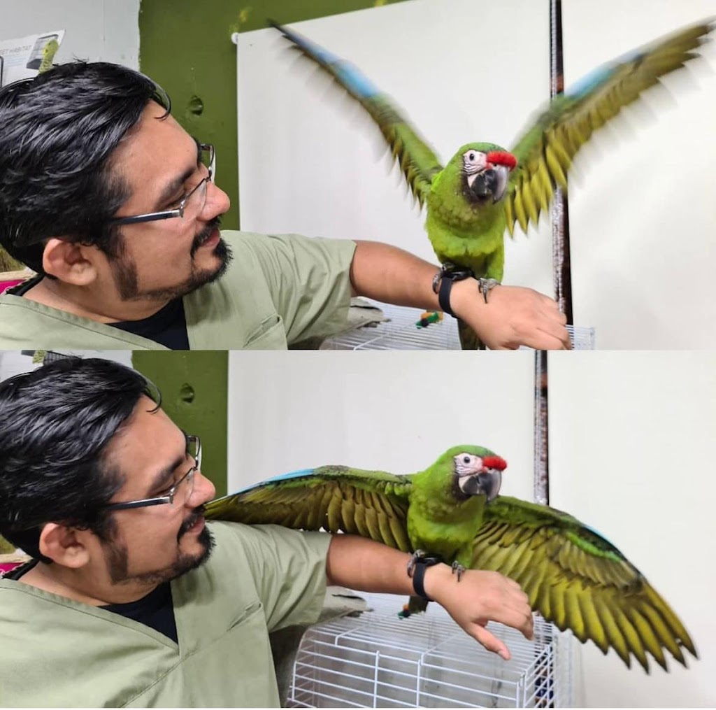 Clinica Veterinaria Planeta Fauna