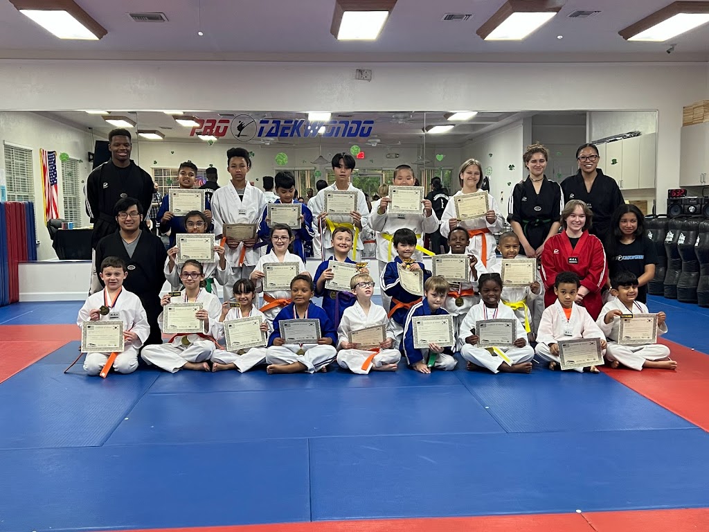  Pro Taekwondo