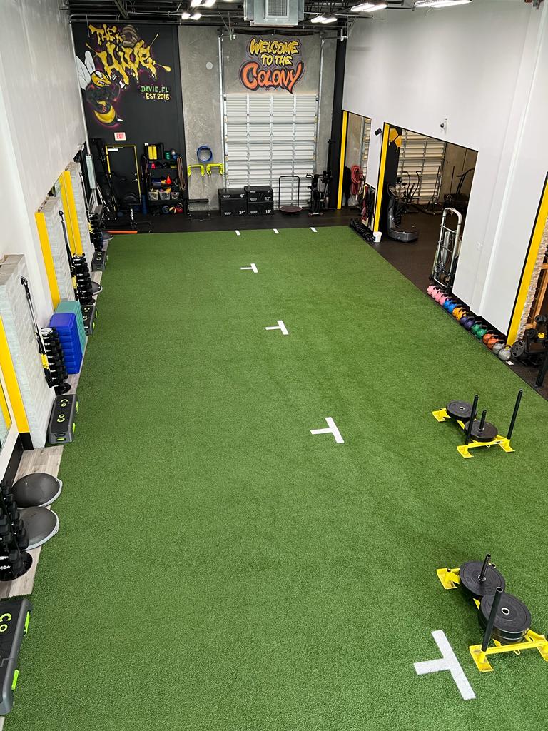  The Hive - Performance & Health Coaching