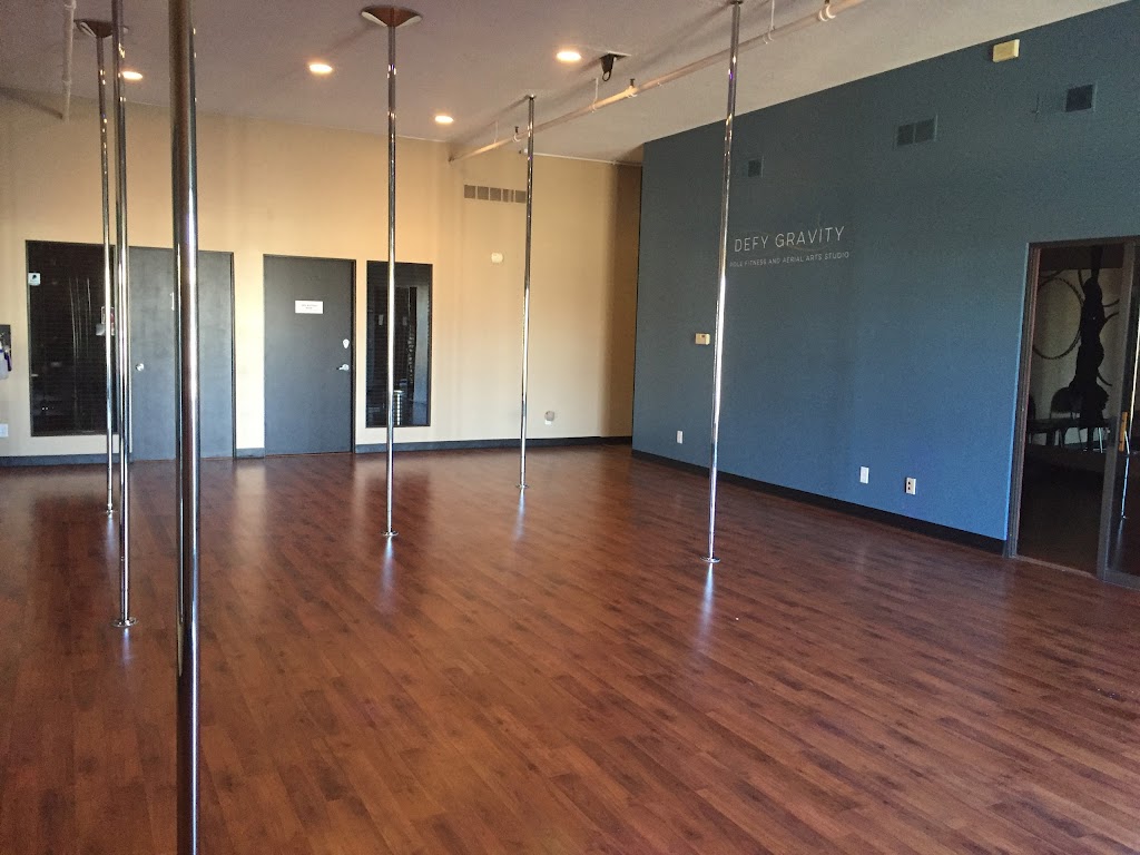  Defy Gravity - Pole Fitness and Aerial Arts Studio