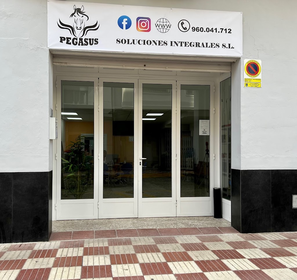 Pegasus Soluciones Integrales S.L