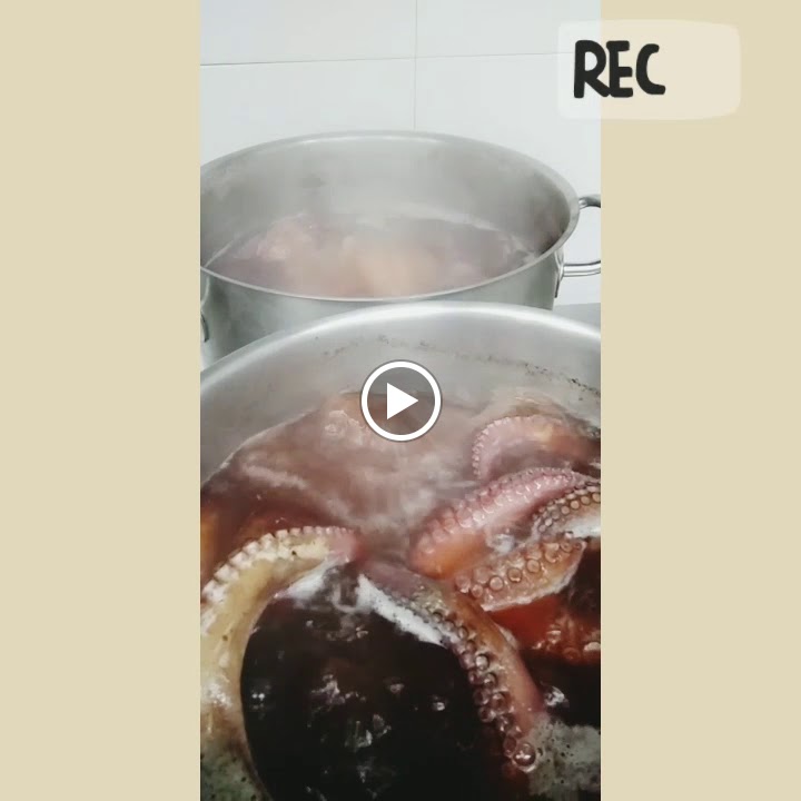 Restaurante Capricius — Videos