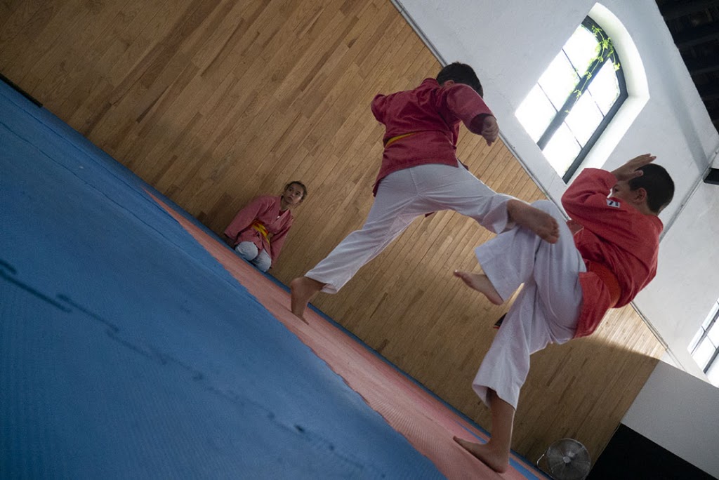 ACADEMIA DE ARTES MARCIALES Y DEPORTES DE CONTACTO — Arte marcial