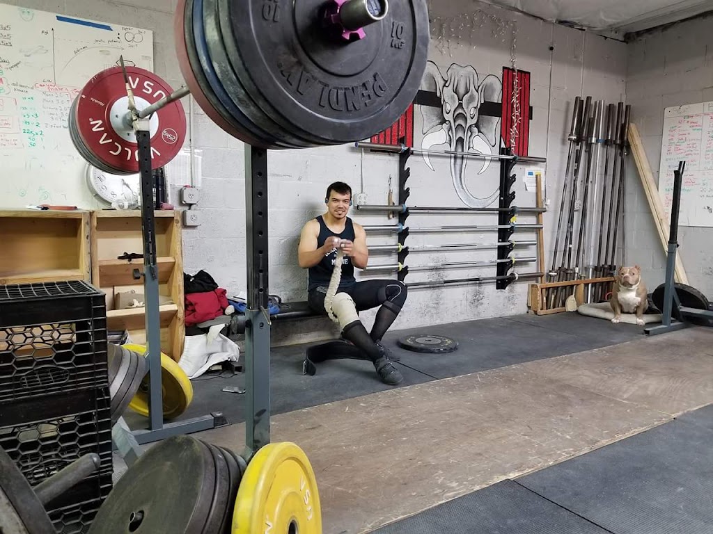  Cambridge Strength and Conditioning