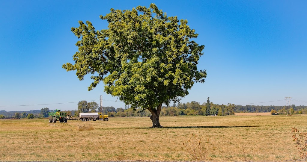 Oregon Marketing Group