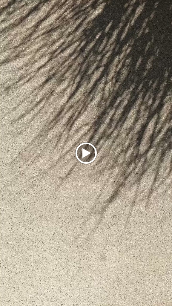  Melbourne Beach Fitness