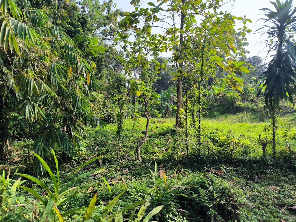 Vila pondok ayem tentrem