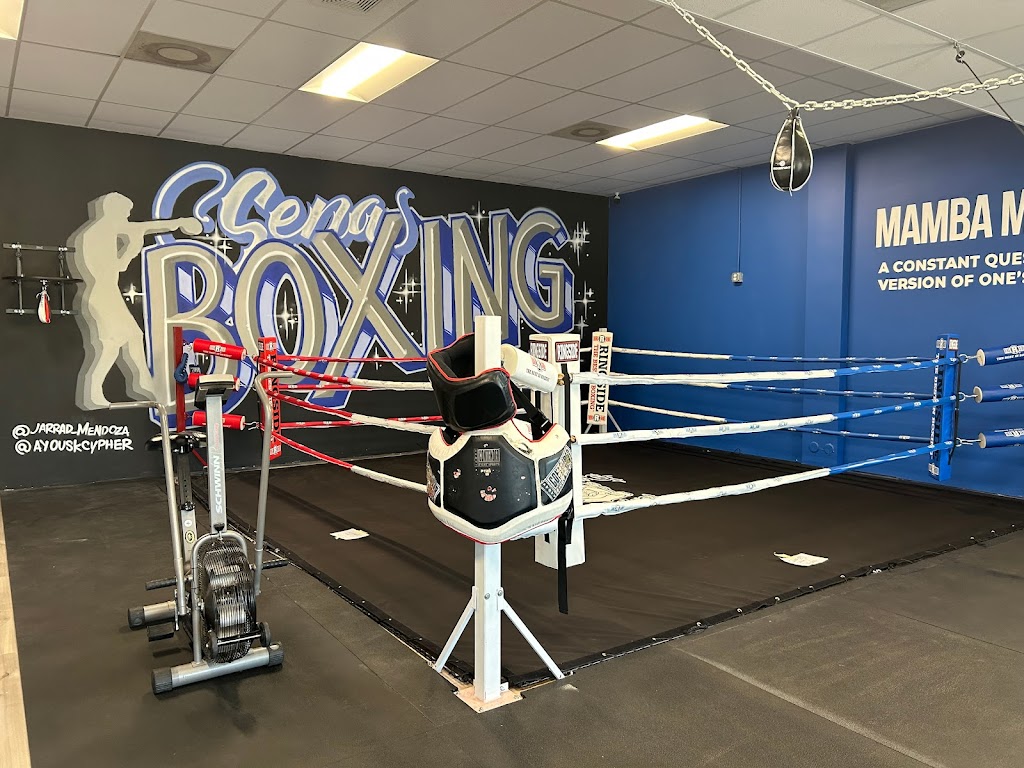  Sena Boxing