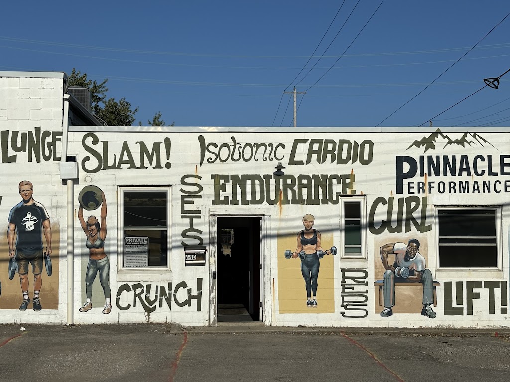  Pinnacle Performance